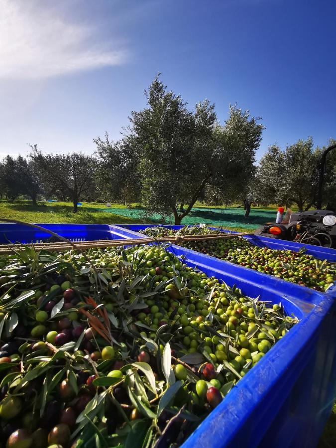 Azienda Agrituristica Baglio Carta Balestrate Ngoại thất bức ảnh