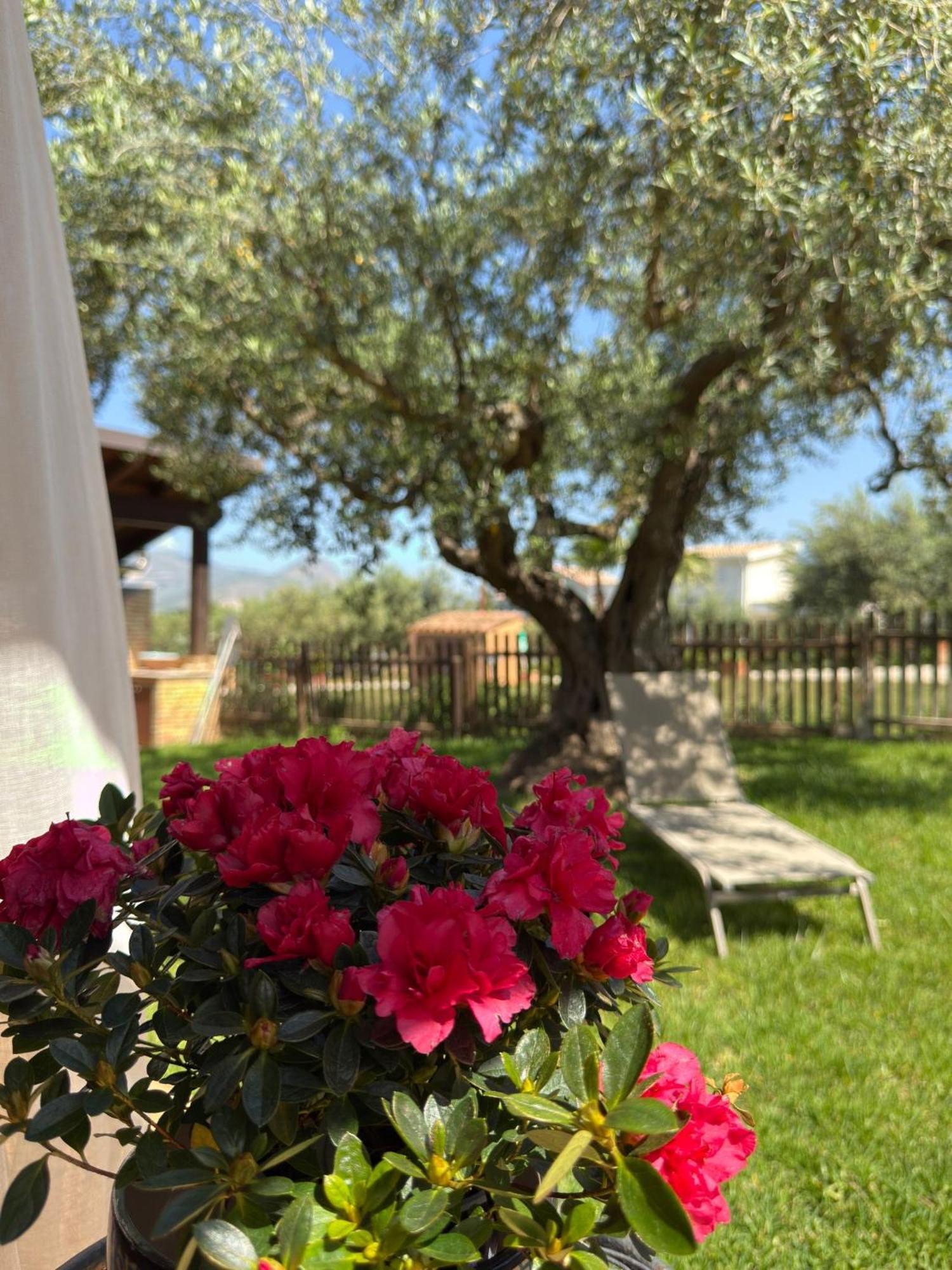 Azienda Agrituristica Baglio Carta Balestrate Ngoại thất bức ảnh